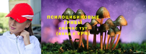 apvp Фурманов