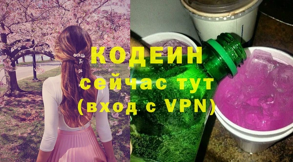 прущие крисы Горняк