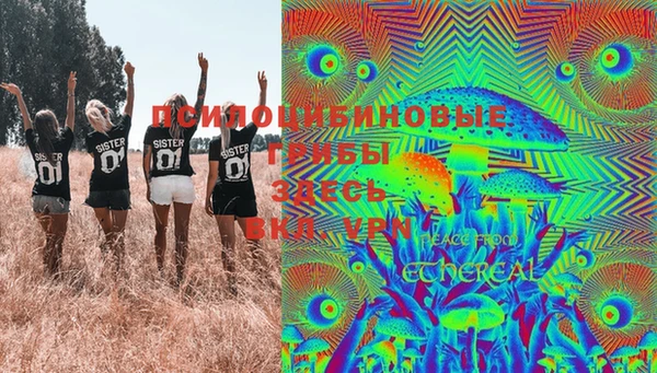 apvp Фурманов
