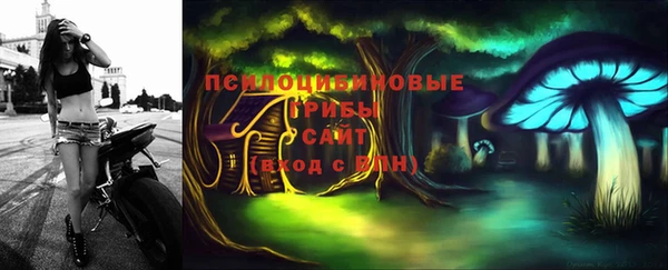 apvp Фурманов